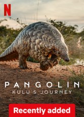 Pangolin: Kulu’s Journey